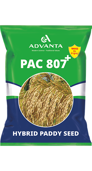 ADVANTA PAC 807 Plus